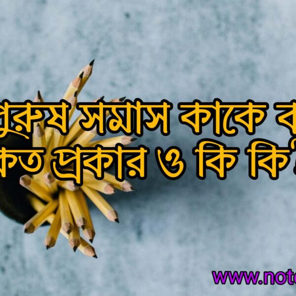 তৎপুরুষ সমাস কাকে বলে? তৎপুরুষ সমাস কত প্রকার ও কি কি? উদাহরণ দাও।