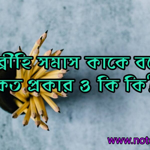 বহুব্রীহি সমাস কাকে বলে? বহুব্রীহি সমাস কত প্রকার ও কি কি? বহুব্রীহি সমাসের উদাহরণ দাও।