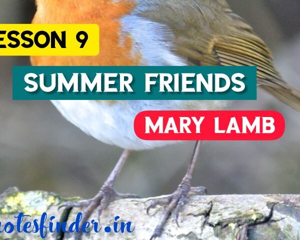 Summer Friends ( Lesson 9) Bengali Meaning (বঙ্গানুবাদ) | Questions – Answers | Class 8