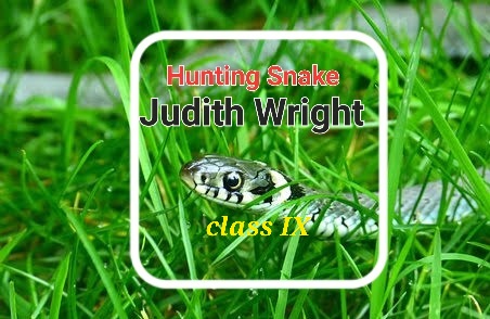 hunting snake by judith wright