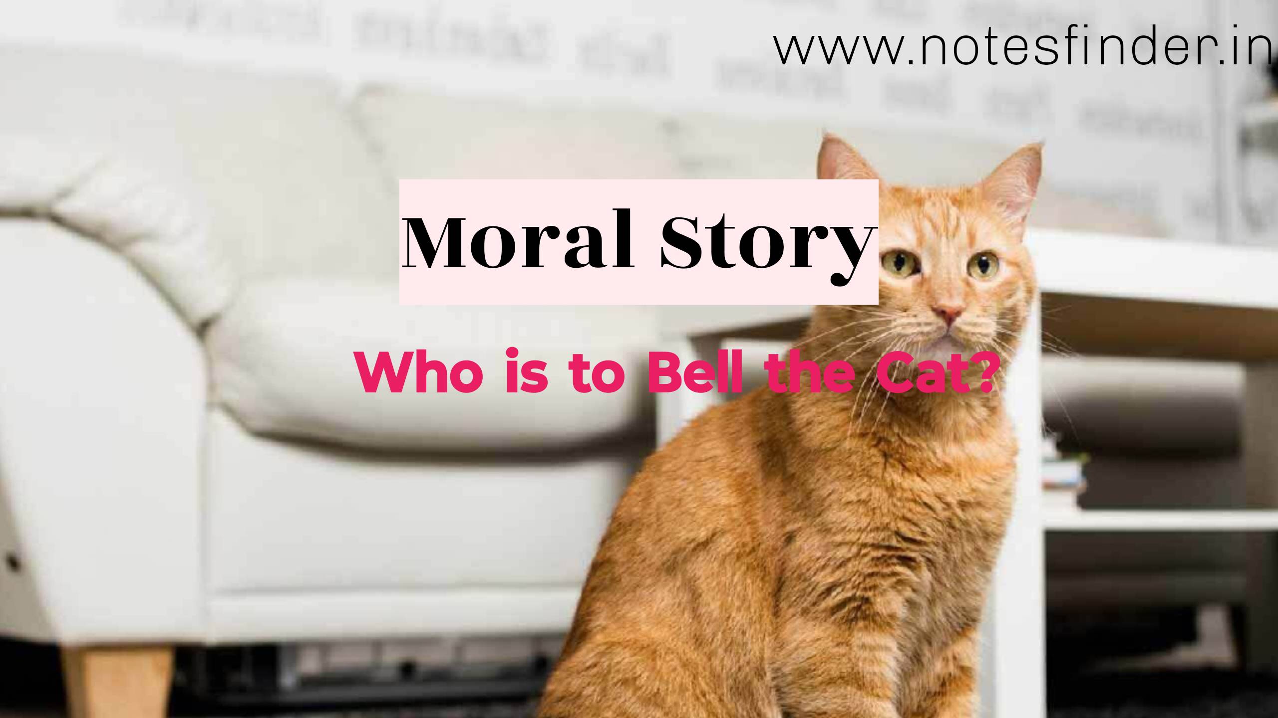 Who Is to Bell the Cat? Moral Stories