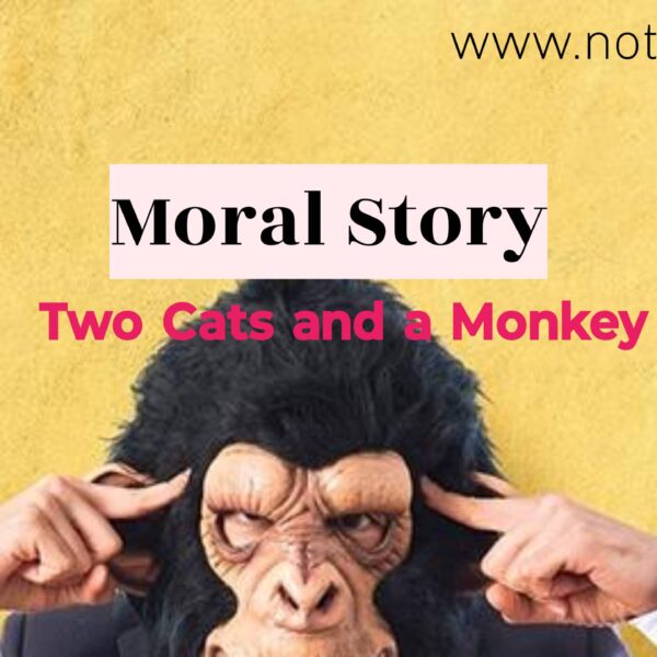 Two Cats and a Monkey | Moral Stories